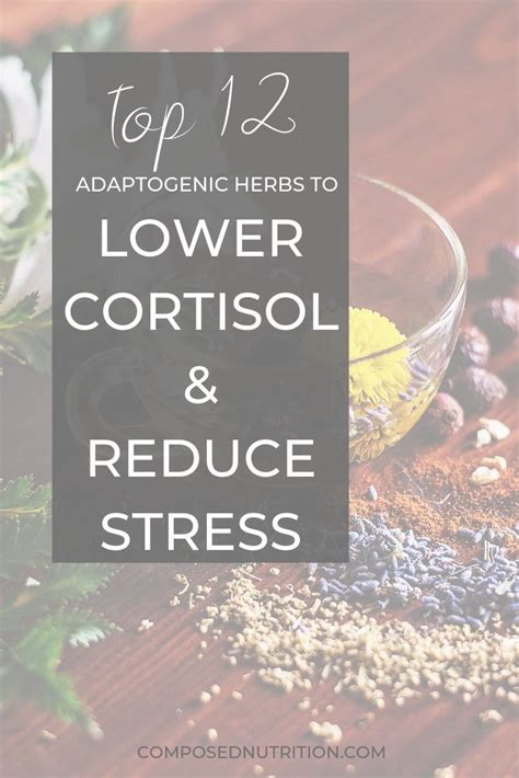 Adaptogenic Herbs Can Help To Lower Cortisol Levels And Reduce Stress