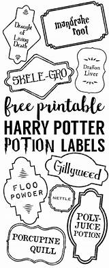 Potion Papertraildesign Potions sketch template