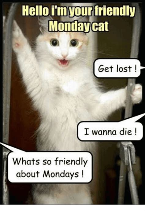 Monday Cat Meme Funny Image Photo Joke 02 Quotesbae