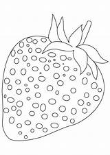 Strawberry Coloring Pages Fruit Strawberries Kids Color Fruits Worksheets Handwriting Practice Printable Drawing Ripe Obst Big Hungry Bear Seed Heart sketch template