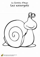Escargot Escargots Gasteropodes Hugolescargot Coloriages Choisir sketch template