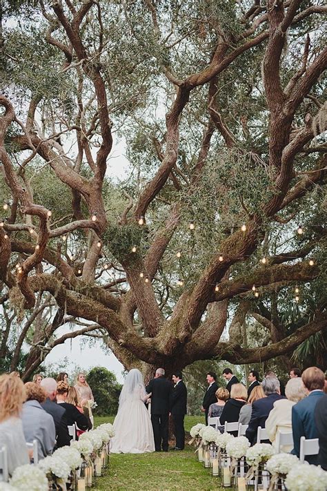 oak tree wedding venue willow tree wedding wedding lights wedding