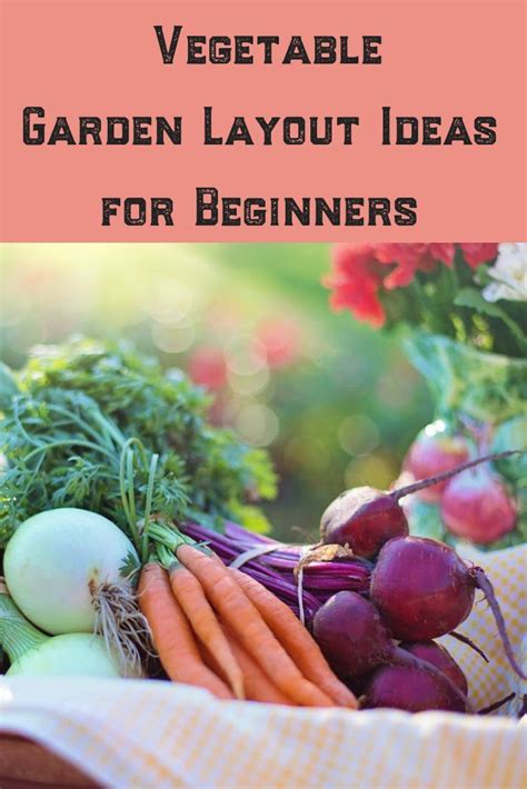 a guide to growing a successful vegetable garden gardening home vegetable garden gardening