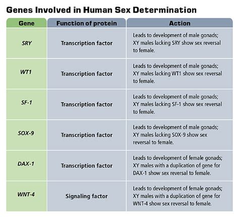 biology of sex and gender annenberg learner