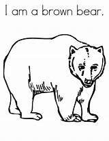 Bear Brown Coloring Pages Do Printables Printable Am Sheet Drawing Color Outline Template Polar Library Clipart Comments Getdrawings sketch template