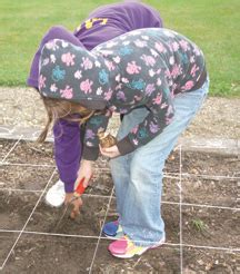 Our town play time capsule analysis