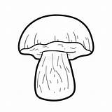 Mushrooms Inedible Boletus sketch template