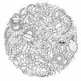 Mandala Wald Mandalas Ausmalbilder Johanna Basford sketch template