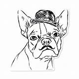 Terrier Boston Coloring Pages Printable Yorkie Bulldog Drawing French Puppy Highland Color West Dog Getcolorings Clipart Yorkshire Library Getdrawings Print sketch template