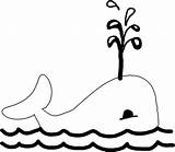 Whale Baleia Ballena Baleine Ballenas Shamu Humpback Whales Walvis Jonah Coloriages sketch template