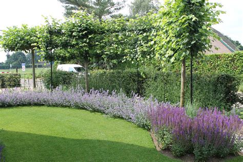 hoveniersbedrijf gweultjes organische lijnen emst tuinontwerp leibomenjpg tuin ideeen tuin