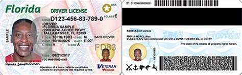 floridas  drivers licenses  id cards