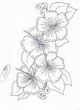 Tropical Coloring Pages Flower Flowers Getdrawings sketch template