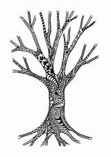 Tree Doodles Doodle Trees Zentangle Zentangles Drawing Roots Patterns Clipartmag Flickr sketch template