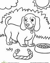 Coloring Pages Animals Dog Puppy Weiner Kindergarten Worksheet Colouring Sheets Worksheets Pet Kids Animal Printable Printables Color Colour Pets Education sketch template