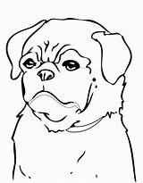 Coloring Pages Pug Dog Dogs Printable Beagle Minecraft Print Color Cool Colouring Cute Baby Animals Christmas Drawing Getdrawings Getcolorings Line sketch template