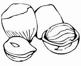 Colorat Alune Nuesse Planse Fructe Nuts Toamna Nuci Wald Ausmalbild Desene Malvorlage Bolts Planşe Toamnă Multe Universdecopil Găsiţi sketch template