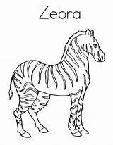 Zebra Coloring Pages Color Realistic Stripes Getcolorings Print Clipart Online Choose Board sketch template