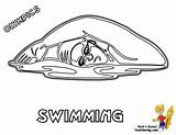 Coloring Swimmer Clipart Girl Popular Sheets Library Coloringhome Basketball sketch template