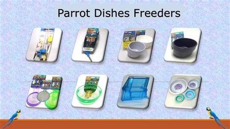 parrot products leading  parrot store  michigan usa youtube