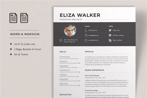 professional resume  samples examples format resume