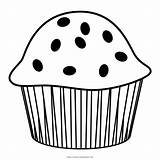 Muffins sketch template
