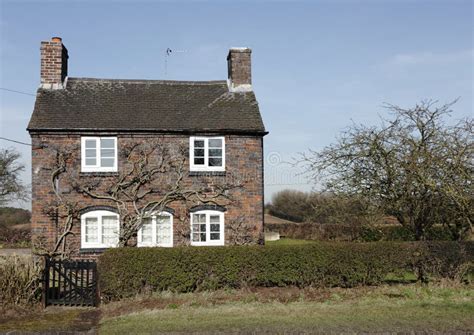 traditional small english cottage stock photo image