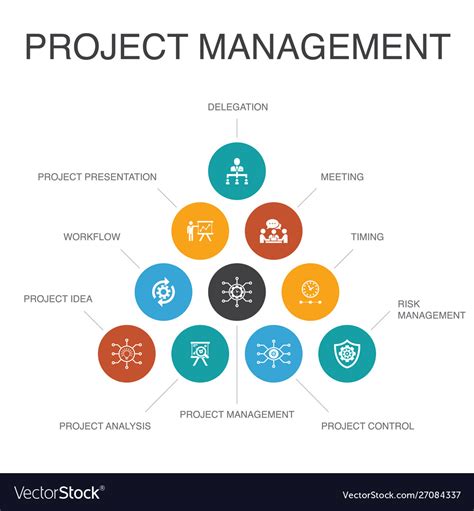 project management infographic  steps concept vector image