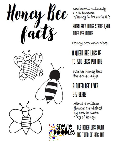 honey bee facts  printable coloring page    coloring