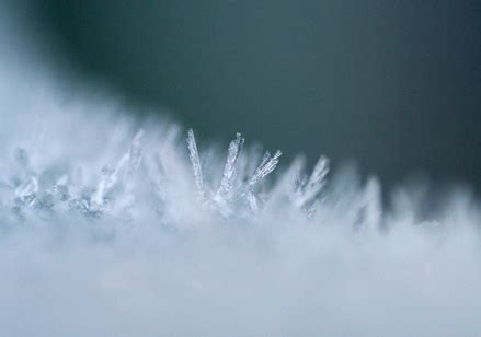frost  tiny plot