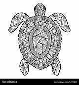Turtle Zentangle Stylized Vector Royalty sketch template