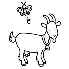 goat face coloring pages reezacourbei coloring