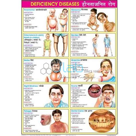 Vitamins Chart With Deficiency Diseases Useful Chart On Nutrient