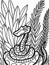 Snake Coloring Pages Color Animal Jungle Snakes Kids Printable Print Colouring Animals Clipart Safari Library Back Sheet sketch template