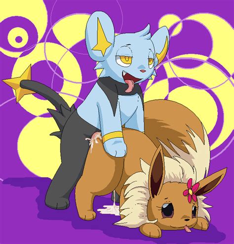 843375 Eevee Porkyman Shinx Pokémon Furry Collection
