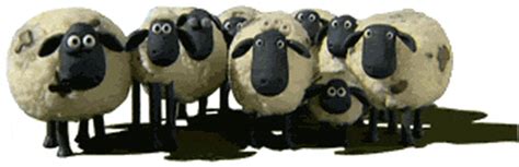 counting sheep s find and share on giphy