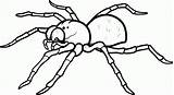 Spider Coloring Pages Clipart Colouring Library sketch template
