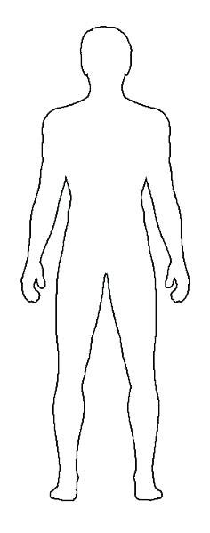 human body outline vector  vectorifiedcom collection  human body