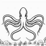 Coloring Octopus Pages Kids Printable Drawing Color Getdrawings Print Cool2bkids Pencil Drawings Everfreecoloring Baby sketch template