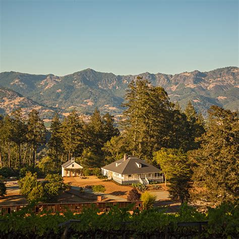 ultimate travel guide  calistoga