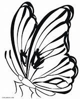 Butterfly Coloring Pages Printable Line Simple Drawing Butterflies Monarch Cocoon Colouring Cool2bkids Drawings Color Kids Easy Clipart Getcolorings Getdrawings Clipartmag sketch template