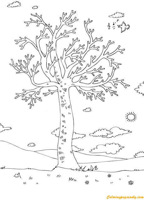 spring tree  leaves  blossoms coloring page  coloring