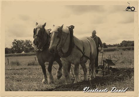 foto oude doos paard en wagen