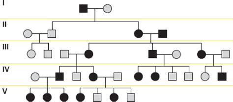 x linked recessive inheritance pedigree slideshare