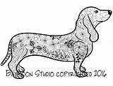 Kleurplaten Teckel Hond Volwassen Afdrukbare Zentangle Kleurende Teckels Afkomstig Downloaden Uitprinten sketch template