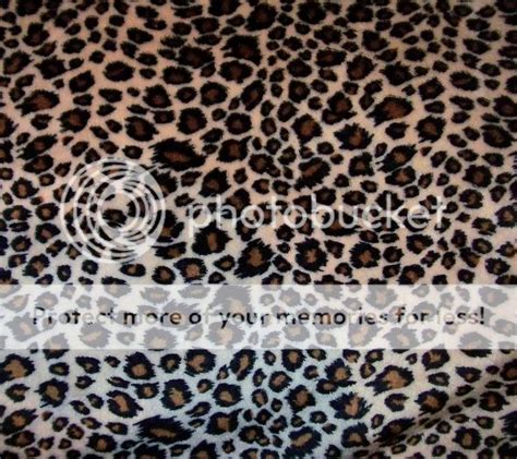 cheetah print image cheetah print graphic code