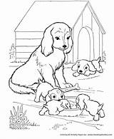 Coloring Dog Pages Puppy Printable Puppies Kids Dogs Colouring Mother Sheets Print House sketch template