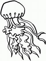 Jellyfish Outline Fish Coloring Pages Cliparts Attribution Forget Link Don sketch template