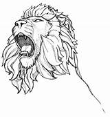 Lion Outline Drawing Face Tattoo Line Getdrawings sketch template