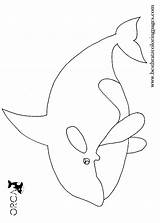 Orca Kinderbilder Bratz sketch template